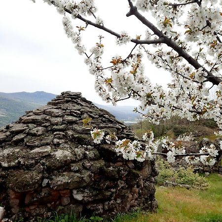 Apartamento Rural Amaluna El Torno  Buitenkant foto
