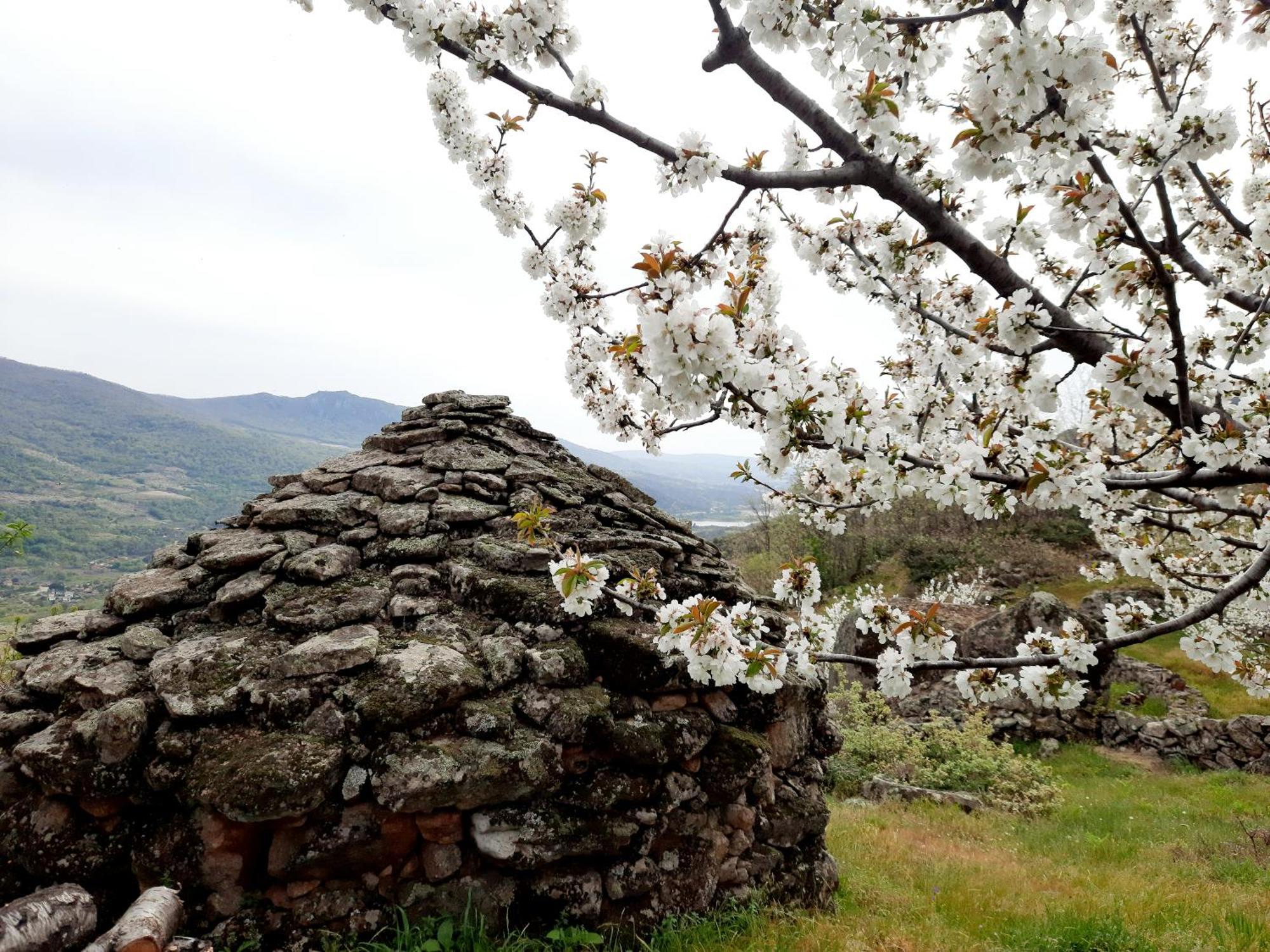 Apartamento Rural Amaluna El Torno  Buitenkant foto